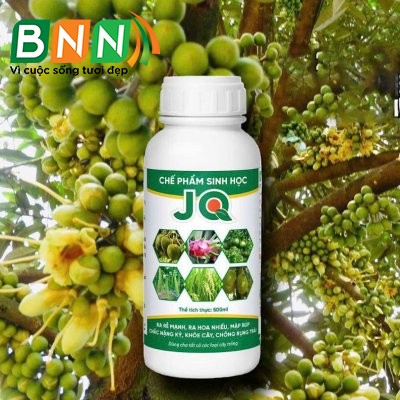 Chế phẩm sinh học 18