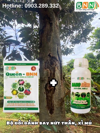 Chế phẩm sinh học 19