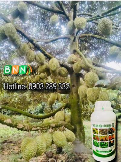 Chế phẩm sinh học 07