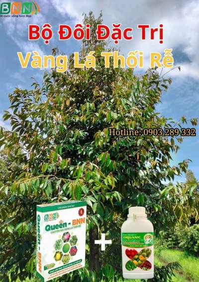 Bộ đôi đặc trị vàng lá, thối rễ