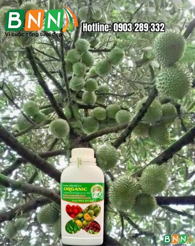 Chế phẩm sinh học 08