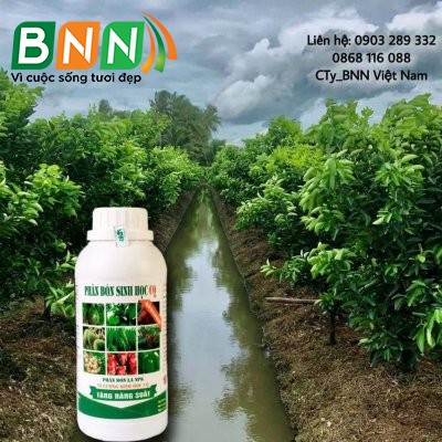 Chế phẩm sinh học 09