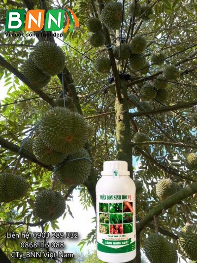 Chế phẩm sinh học 10