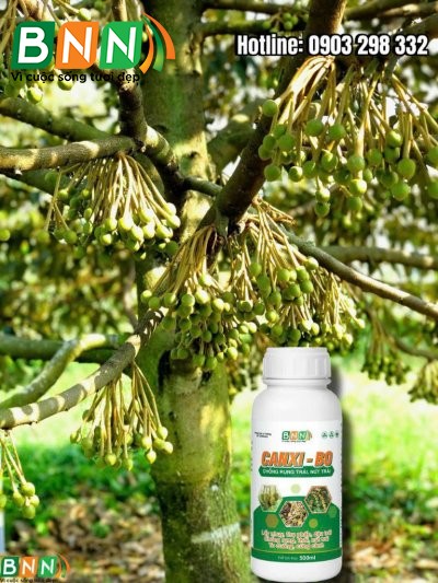 Chế phẩm sinh học 11