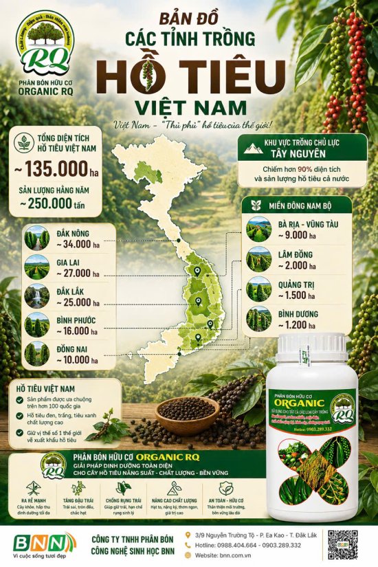 BNN về thăm vườn tiêu tại Tây Nguyên