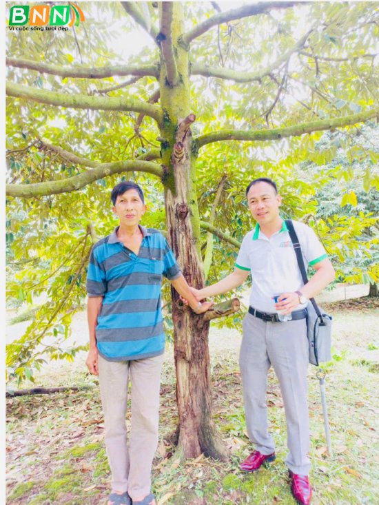 Hình ảnh cây trồng 1