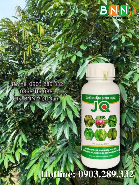 Hình ảnh cây trồng 3